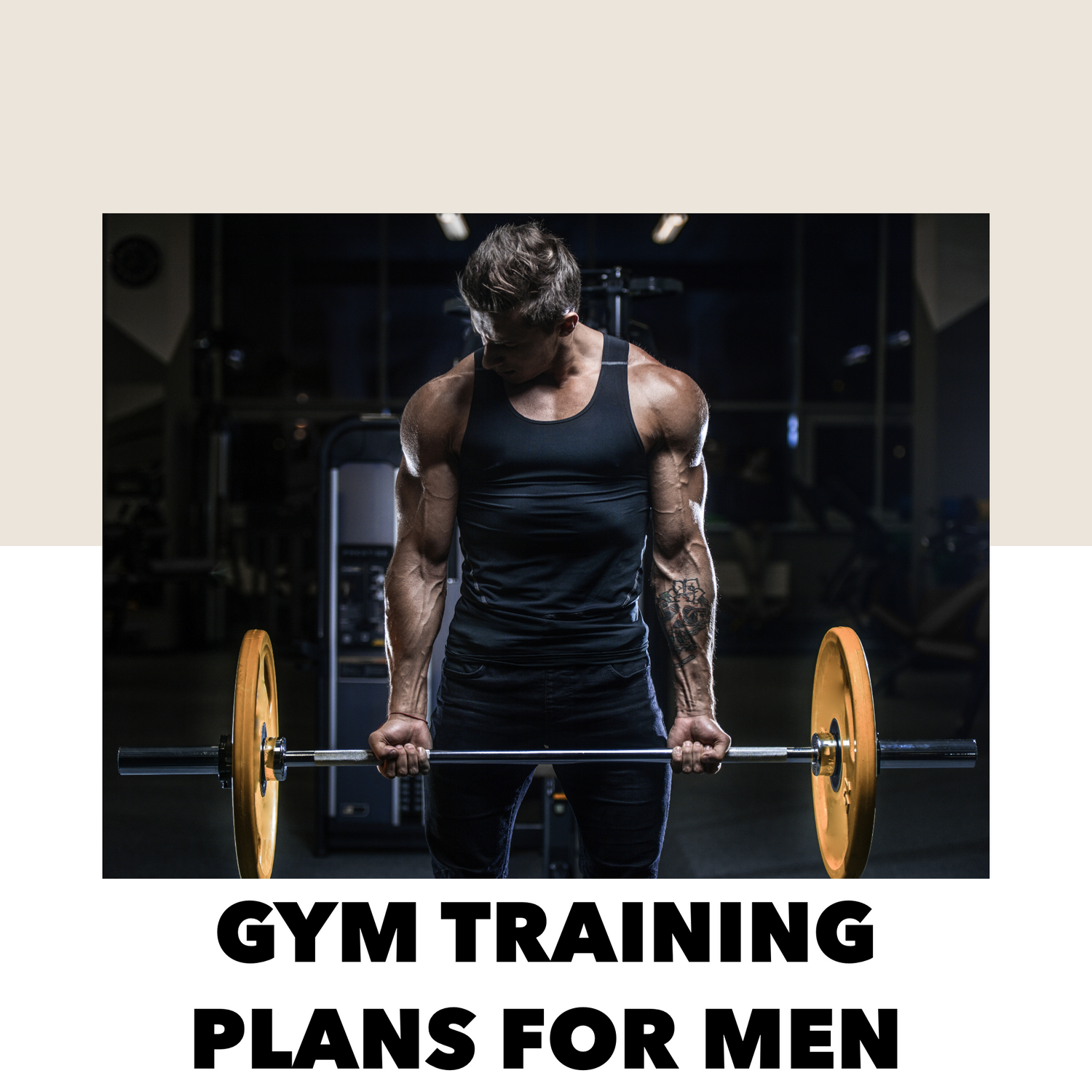 Gym Training Plans For Men